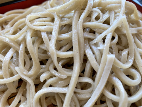 S_500zIMG_8298_15684.JPG