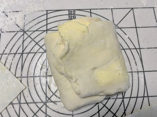S_500zIMG_9295_15086.JPG